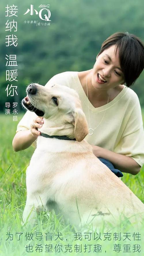 纳瓦拉大学AccountingDiploma